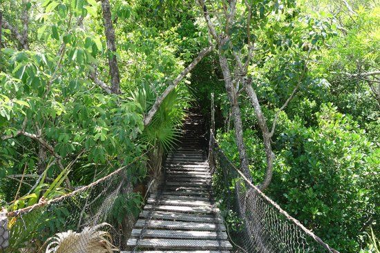 Parque Nacional Arrecife Puerto Morelos